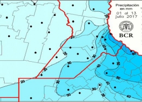 Trigo: alerta por enfermedades