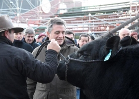 Comenzaron a entrar los animales en la Exposición Rural de Palermo