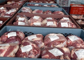 Verifican el engorde a corral de bovinos con miras a cumplir la cuota UE 481