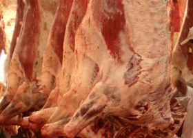 Esperan que EE.UU. abra su mercado a la carne argentina "en los próximos días"