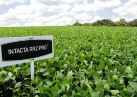Nuevo capítulo en el conflicto de la Unión Agrícola de Avellaneda con Monsanto