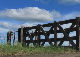 ¿Qué imagen proyecta el campo argentino?