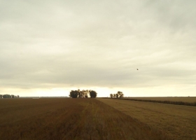 Nuevo Registro Fiscal de Tierras Rurales: Afip reforzará controles para evitar evasión en arrendamientos agrícolas