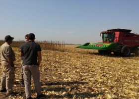 El agro figura en el quinto puesto del ranking de generación de empleo argentino con más de 4500 trabajos creados en el último año