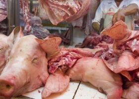 No va más: dieron de baja al Registro de Operaciones de Importación de carne porcina