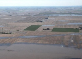 Minimizando impactos: manejo del nivel de napas en zonas de llanura