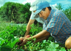 Analizan compartir una agregaduría agrícola en Asia con Brasil para fortalecer mercados