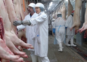 El INTA manifiesta preocupación por la importación innecesaria de carne de cerdo y la sobreoferta