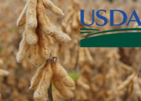 El USDA estimó una cosecha récord de soja en EE.UU. y derrumbó los precios