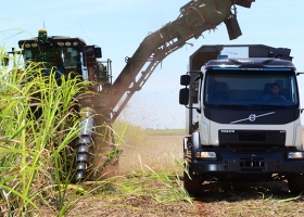 Agroindustria apunta a reducir la retención a la exportación de azúcar del 21 al 13%