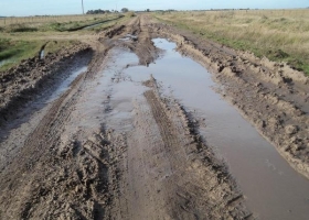 Por la falta de caminos generada por las inundaciones se realizaron 92.000 fletes menos de granos gruesos a Rosario