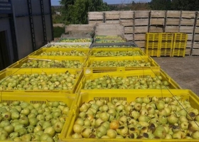 Economías regionales: los costos laborales subieron mucho más que los precios de sus productos