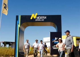Afirman que la unidad de semillas de Nidera estaría a punto de cambiar de manos