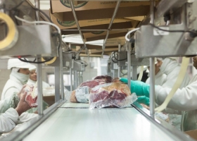 Apenas cinco grupos empresarios concentran el 60% de las exportaciones argentinas de carne bovina