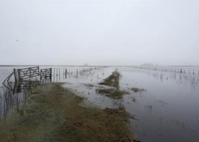 Historias detrás de las inundaciones: qué hacen los productores para no bajar los brazos