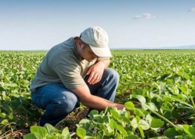 Avanza una certificación académica para la agroecología
