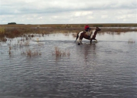Córdoba: piden acelerar una obra para inundaciones en el sur provincial