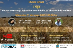 Charla Virtual TRIGO. Pautas de manejo del cultivo con énfasis en el control de la malezas.