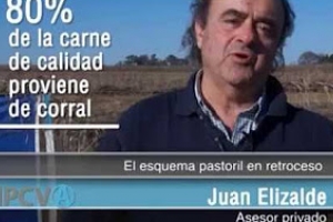 Feedlot vs. Sistema Pastoril