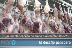 Feedlot: Una tendencia en crecimiento en Argentina