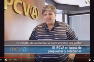 IPCVA: Reforma impositiva y financiera para aumentar la productividad