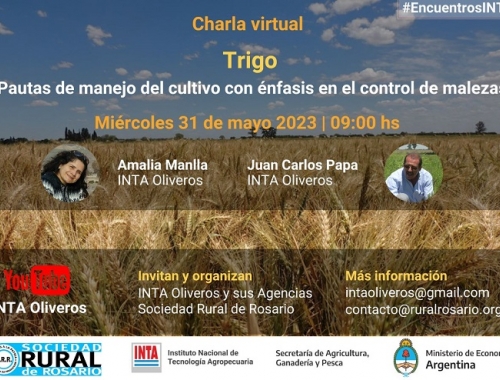 Charla Virtual TRIGO. Pautas de manejo del cultivo con énfasis en el control de la malezas.