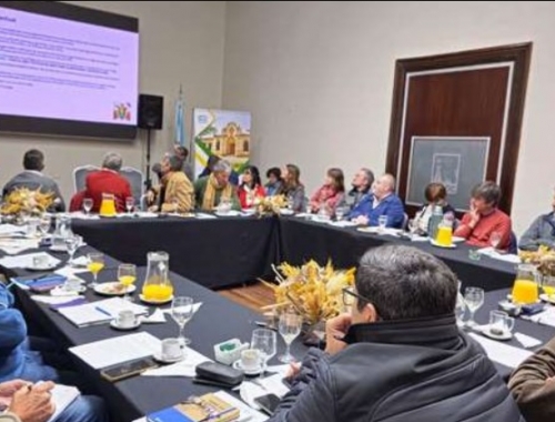 Tucumán: Elaboran y presentan un plan de acción para combatir a la chicharrita del maíz.