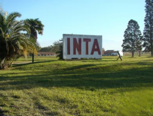 Nos vamos a quedar sin estación experimental revivió una ofensiva para evitar la cesión de tierras del INTA en Salta