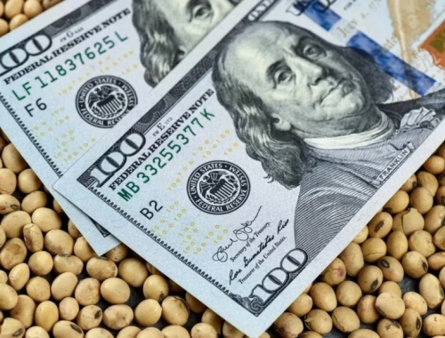 Ingreso de divisas proyectan que el agro aportaría US$30.800 millones en 2025