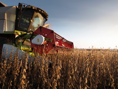 Inviable advierten que, por la suba de las retenciones, la soja no será rentable en el 80% del área agrícola