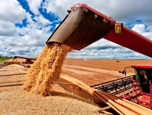 Exportaciones agroindustriales argentinas crecieron 9% en volumen y superaron los USD 33.000 millones en 8 meses