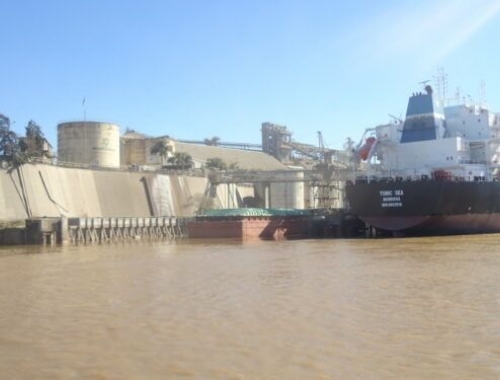 Gracias a la soja (¡sí, otra vez la soja!) Argentina pudo lograr un superávit comercial de 921 millones de dólares en septiembre