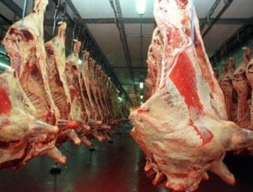 Sube la carne llegan alzas de hasta el 8% en las carnicerías con una fuerte presión de la exportación