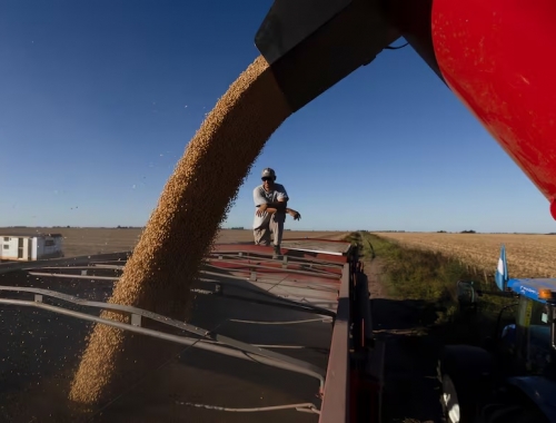 Impacto la soja alcanzó en el mercado internacional su valor más alto en 17 meses