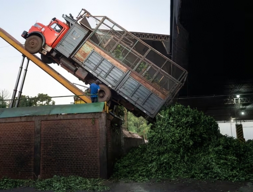 El certificado de defunción de 12.500 productores rechazo de yerbateros a un decreto desregulador de Milei