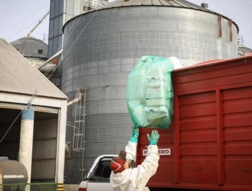 Se invirtieron US$100 millones: ya se reciclan tres de cada cuatro envases vacíos de fitosanitarios y se transforman en caños e insumos energéticos