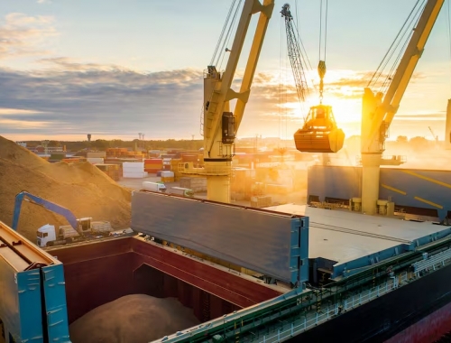 Sorpresa en el mercado. China bloqueó soja de Brasil y crecen los rumores de más compras a EE.UU qué significa para la Argentina