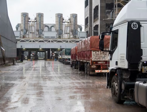 El momento del trigo: por la supercosecha creció un 24% el ingreso de camiones a los puertos