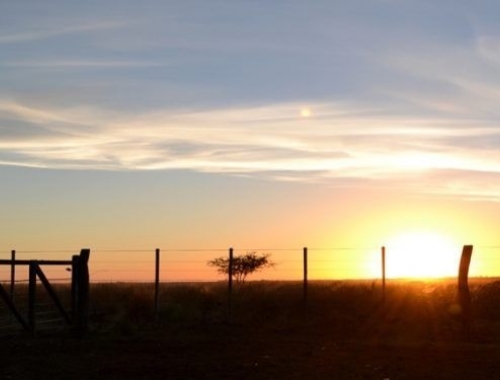 Mejoran las expectativas de los empresarios agropecuarios argentinos según una encuesta realizada por CREA