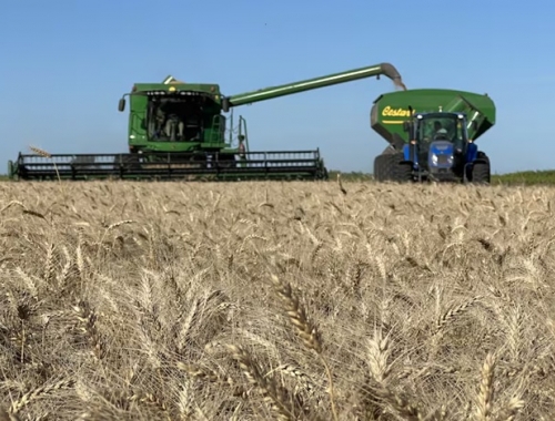 No alcanza en plena cosecha de trigo, la Rural reclamó la eliminación total de las retenciones