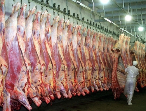 La faena cae 13% en noviembre y marca su nivel más bajo en cuatro años: se consolida el cambio de ciclo ganadero