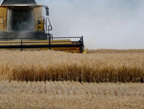 Récord histórico el trigo argentino alcanzaría 27,7 Mt y marca la mayor producción en 25 campañas