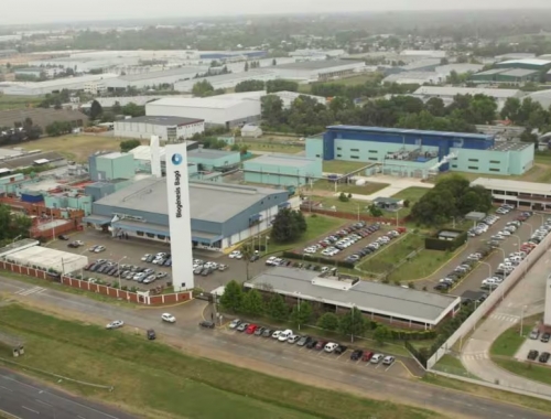 Fiebre aftosa la empresa argentina Biogénesis Bagó será proveedora de un banco de vacunas de Brasil, que tiene uno de los mayores rodeos del mundo