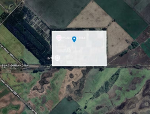 En desuso el Gobierno acelera para desafectar del INTA a casi 34.000 hectáreas