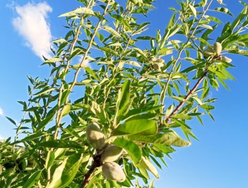 Cambiar el paradigma un novedoso proyecto busca transformar una región productiva difícil y que no haya más frustración