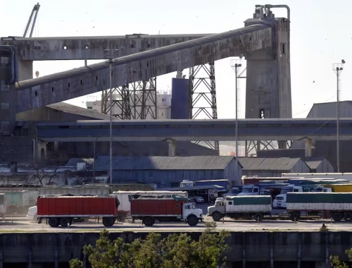 Fuerte salto la agroindustria exportó hasta noviembre por US$46.456 millones