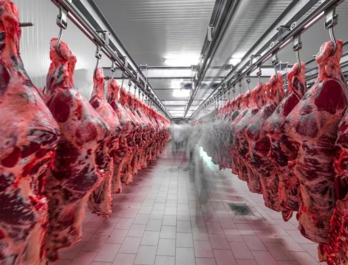 Récord la exportación de carne vacuna de 2025 ya generó US$3531 millones