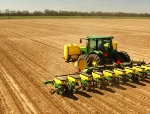 La siembra de soja ya cubre el 82 % del área nacional y avanza hacia etapas reproductivas clave