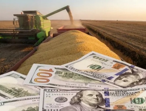 La liquidación del agro creció 25 % en 2025 y superó los US$31.300 millones