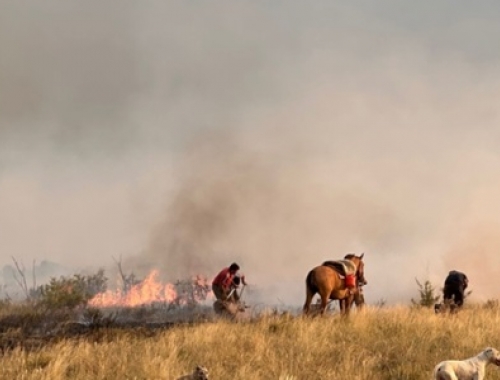 Lo que el fuego se llevó. El impacto productivo empieza a dimensionarse en el oeste pampeano, contado por quienes pelearon con pala en mano durante noches enteras